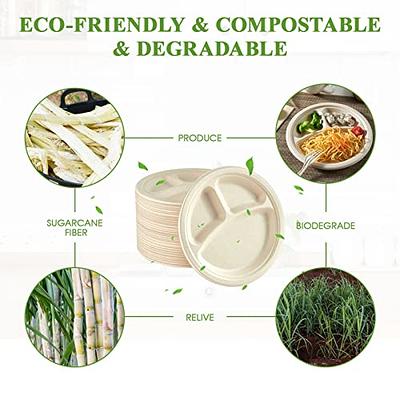 Comfy Package 100% Compostable 9 Inch Heavy-Duty Plates [125