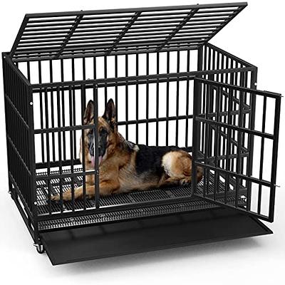 MidWest Homes for Pets Newly Enhanced Single Door iCrate Dog Crate,  Includes Leak-Proof Pan, Floor Protecting Feet, Divider Panel & New  Patented