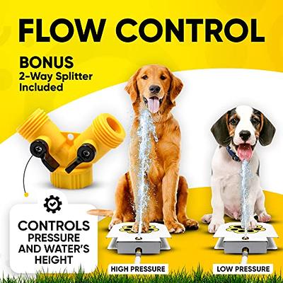 Dog Outdoor Fountain Step On, Paw Activated Drinking Pet Dispenser,  Provides Fresh Water, Sturdy, Easy to Use by Trio Gato
