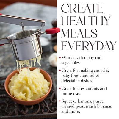 Bellemain Potato Ricer 15 oz with 3 Interchangeable Discs, Mash Potato  Masher Stainless Steel, Sweet Potato Masher Kitchen Tool