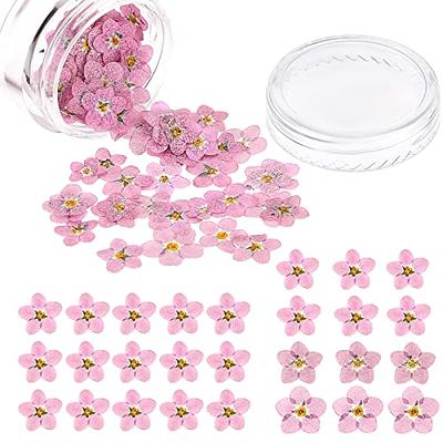 Small Dried Strawflower Heads, Assorted Sizes Resin Craft Flowers,  Everlasting Flowers - Yahoo Shopping