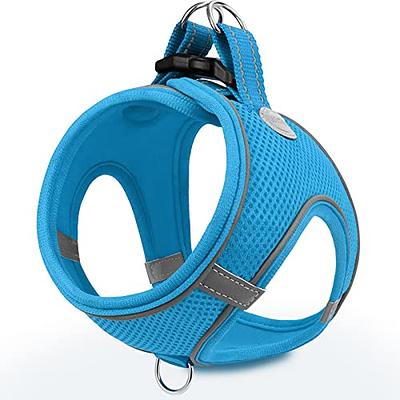 Sonoma Goods for Life Pet Harness & Leash Set Breathable All