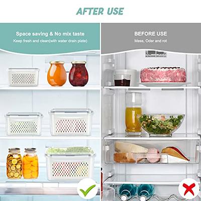 ODOMU 4 Pack Fridge Food Storage Container with Lids, Plastic Fresh Produce Saver  Keeper for Vegetable Fruit Berry Salad Lettuce, BPA Free Kitchen  Refrigerator Organizers Bins (4.15L+3.15L+1.7L+0.8L) - Yahoo Shopping