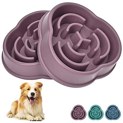 Best Slow Feeder Dog Bowls 2023, Anti-Gulp Bowls