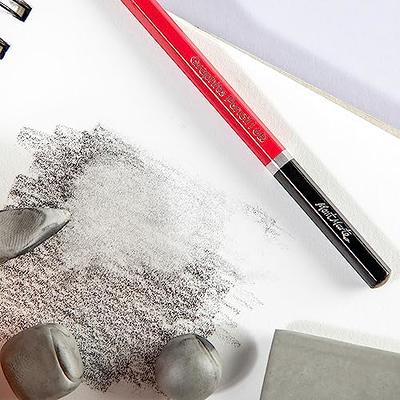 Mont Marte White Charcoal Pencil Set for Professionals, Artist, Sketching  Pencils, 2 Piece Set