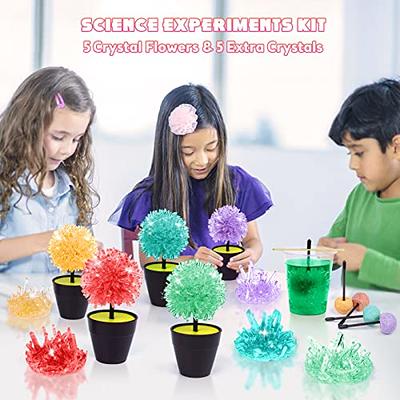 Crystal Growing Kit, STEM Projects Science Kits for Kids Age 8-12, Girls  Toys 8-10 Years Old, Crafts Gift Toys for 6 7 8 9 10 11 12 Years Old Girls  & Boys - Yahoo Shopping