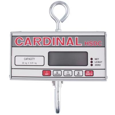 DETECTO Hanging Scale, Electronic, 500 Lb Capacity