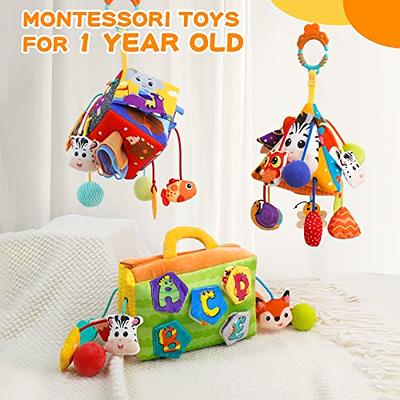 SoulLife Baby Montessori Sensory Toys for Toddlers 1 2 3 Year Old, Pull String Activity Travel Toys for Baby, Developing Fine Motor Skill, Infants