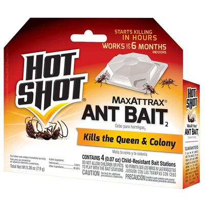 Hot Shot Bed Bug Glue Trap (4-Count) HG-96318-1 - The Home Depot