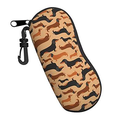 Sunglasses Case with Carabiner