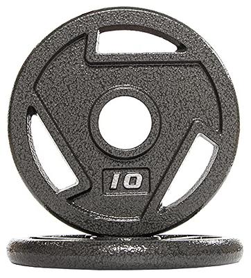 BalanceFrom Cast Iron Plate Weight Plate for Strength Training and  Weightlifting, Olympic or Standard