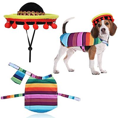 JOHOUSE 2Pack Mexican Party Banner, 18 Feet Plastic Fiesta Banner