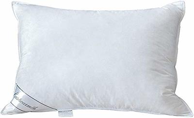 Hypoallergenic Pillow 20x26in