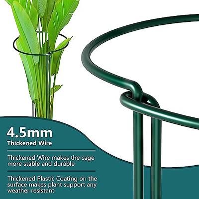 Weather Resistant Plant Support