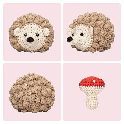 Mewaii Crochet Kit for Beginners, Complete DIY Kit Animals with 40%+  Pre-Started Tape Yarn Step-by-Step Video Tutorials for Adults Kids  (Hedgehog with Mushroom) - Yahoo Shopping