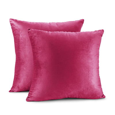 Oubonun 12 x20Throw Pillow Inserts (Set of 2) & 18 x 18 Pillow Inserts (Set  of 2)