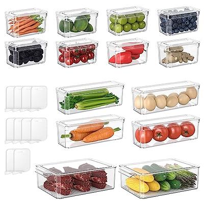 Fridge Food Storage Container With Lid And, Stackable Container