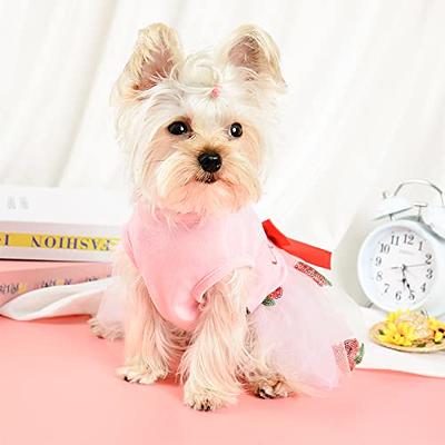 Puppy Dresses for Girl Small Dogs Summer Mesh Dress Princess Dog