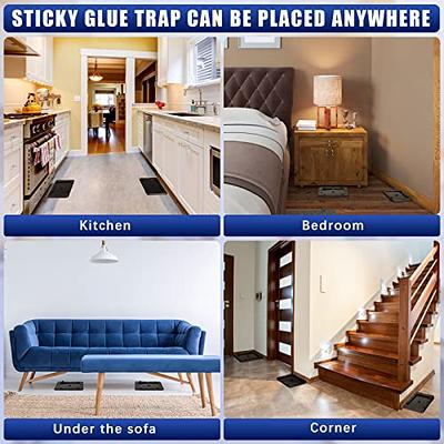 24 Pack Large Baited Glue Traps Sticky Mouse Trap Rat Traps Indoor Rodent  Killer Baited Trays