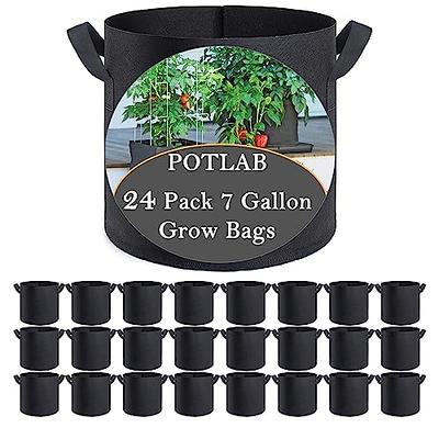 Mclambo 1 Gallon Grow Bags 6 Pack, 1 Gallon pots for Plants,Premium Small  Grow Bags for Healthy Plant Growth - Durable and Reusable Garden Bags to  Grow Vegetables,Fruits,and Flowers - Yahoo Shopping