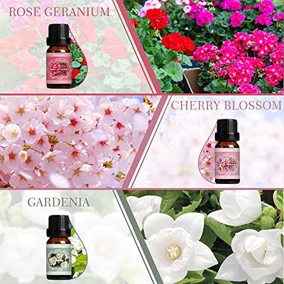 Essential Oils, ESSLUX Floral Aromatherapy Oils Gift Set, Rose