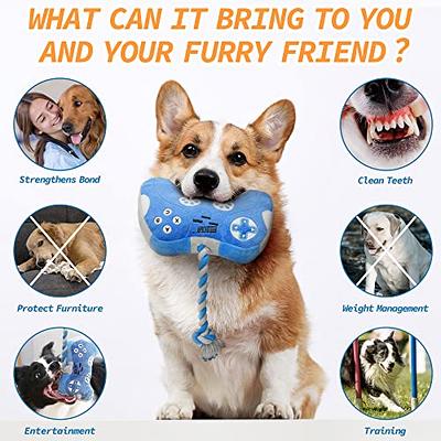 MTERSN Cute Squeaky Dog Toys : Blue Game Controller Plush Dog Toy and Funny  Puppy Chew Toys with Full Crinkle Paper - Cool Dog Birthday Toys for