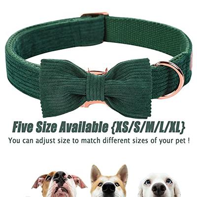 Dog & Puppy Collars: XXS to XXXL Sizes