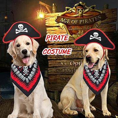 Dog Clothes & Accessories