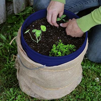 Screw Top Bucket - 5 Gallon with Blue lid; Heavy Duty 90 Mil