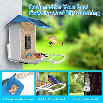 Bird Feeder with Camera, Netvue Birdfy Smart Bird Feeder with Free AI for  Bird Watching, Gifts for Parents, Blue (AI with Solar)