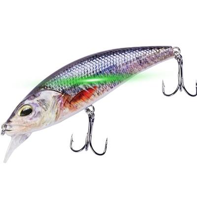 Dr. Fish Fishing Lures Kit LED Lighted Bait Flasher Saltwater