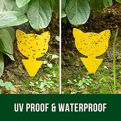 Fruit Fly Traps Yellow Sticky Traps for Gnats Fruit Fly Triangular Hanging  Fly Traps with Hook for House Indoor Outdoor Fly Sticky Trap Pest Control