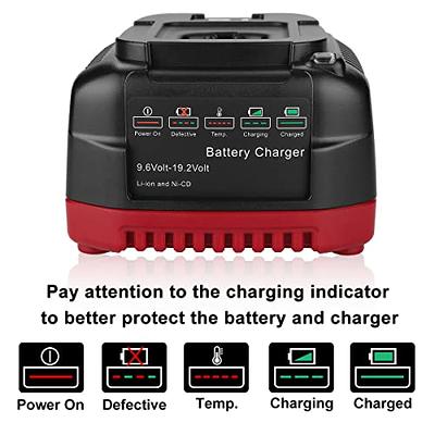 Pulsar 20V Battery Charger, 2405519