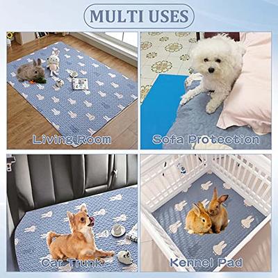 BT Bear Pet Mat, Dog Absorbent Blanket Microfiber Reusable Pet Pee Pad  Washable for Dogs & Cats (M, Blue) 