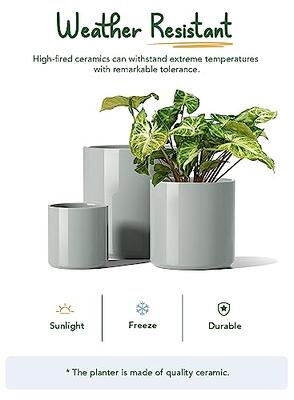 LE TAUCI Large Plant Pots Set, 10/8/6 Inch Ceramic Planters for