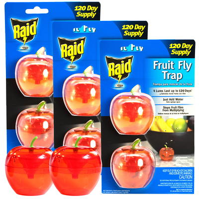  Raid Fruit Fly Trap for Indoors, Effective Fly Killer, Insect Catcher, Fruit Fly Killer & Gnat Traps for House Indoor