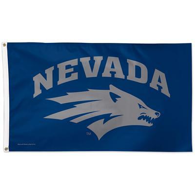 Las Vegas Raiders WinCraft 3' x 5' Pride 1-Sided Deluxe Flag