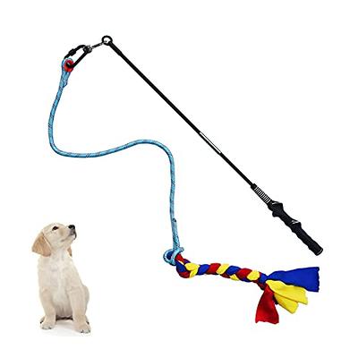 Dog Flirt Pole Toy, Interactive Teaser Wand for Dogs Tug of War