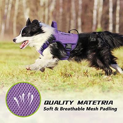 WINGOIN Purple Tactical Dog Harness Vest for Small Dogs No Pull