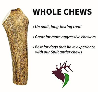 Elk Antler Chews, Premium Dog Treats & Gear