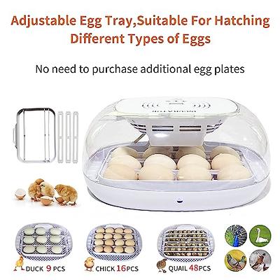 ayakol 16~35 Automatic Egg Incubator with Automatic Egg Turner, Humidity  Control,Automatic Water Adding and Egg Candler,for Chicken Quail Duck Goose  Turkey Hatching, 360°View - Yahoo Shopping