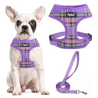 Cute Dog Collar for Small Medium Dogs Puppy - PUPTECK