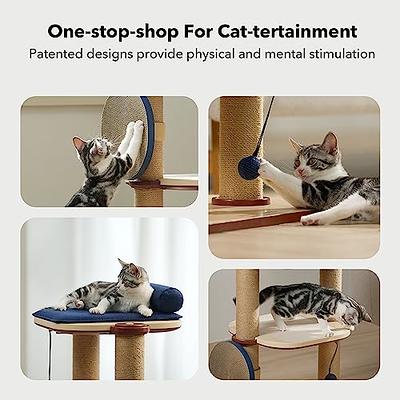 Animals Favorite Cat Play Mat, Cat Tent Activity Center with Hanging Toys