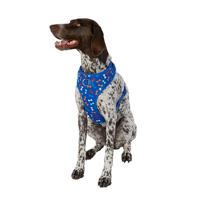 Top Paw Signature Dog Collar in Blue, Size: XL | PetSmart