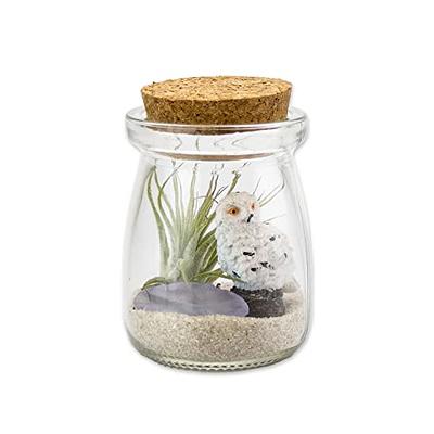 Miniature Air Plant, Faux Tillandsia Small Fake - Yahoo Shopping