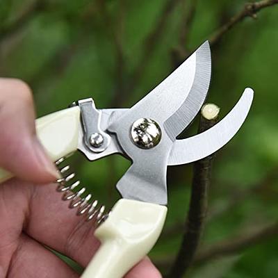 Garden Shears, Pruning Scissors Pruning Shear Garden Clippers Handheld  Pruners Set for Bonsai for Fruit Trees for Flowers