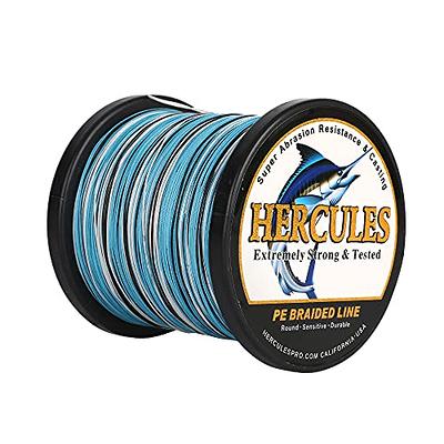 HERCULES Super Strong 500M 547 Yards Braided Fishing Line 40 LB Test For  Saltwater Freshwater PE Braid Fish Lines 4 Strands - Blue, 40LB