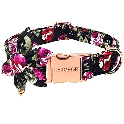 Lucky Love Dog Collars, Vivid Floral Girl or Boy Dog Collar & Leash Set for Large Dogs, Blackbird Combo, Large