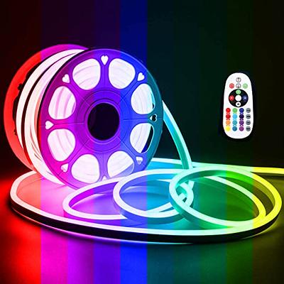 RGB Flex Neon LED Strip Light 120V AC