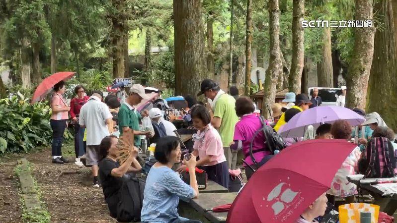 平日溪頭湧入長者、退休人士　車露族亂象減少